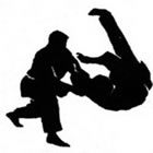 Hapkido em São José dos Pinhais