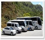 Locação de Ônibus e Vans em São José dos Pinhais
